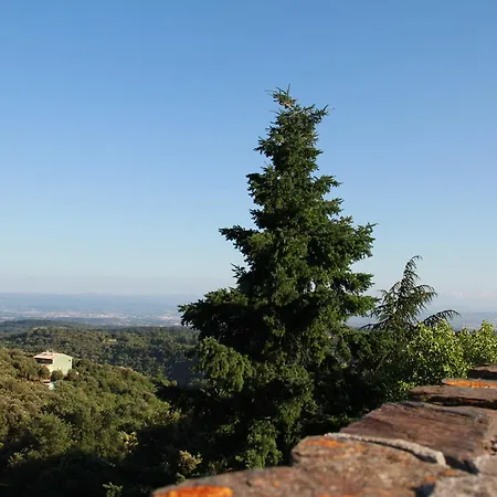 Bed & Breakfast Chambres D'Hotes Familiales Proche De Carcassonne