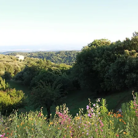 Bed & Breakfast D'hotes Vue Panoramique Proche De Carcassonne Villardonnel
