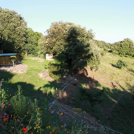 Chambres D'Hotes Familiales Proche De Carcassonne Bed & Breakfast