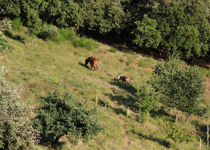 فندق مبيت وإفطار D'hotes Vue Panoramique Proche De Carcassonne
