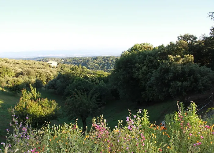 فندق مبيت وإفطار D'hotes Vue Panoramique Proche De Carcassonne Villardonnel